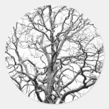 Tree branches round sticker