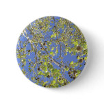 Tree Branches & Seed Balls buttons