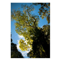 tree business cards