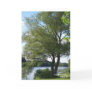 Tree by the Lake Greeting Card