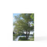 Tree by the Lake Note Card