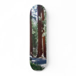 Tree Car Sequoia Park Skate Decks