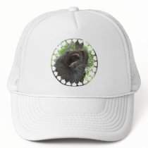Tree Climbing Sloth Baseball Cap Trucker Hats