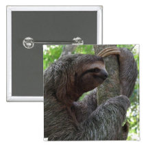 Tree Climbing Sloth Square Pin
