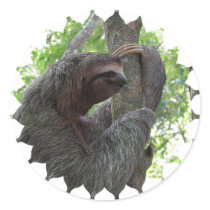 Tree Climbing Sloth Sticker
