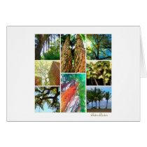 Tree Collage cards