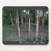 Tree damage by mammals in Refuge Mousepads