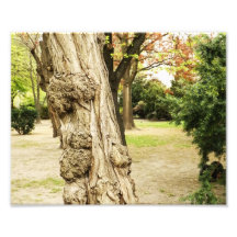 Tree free Form Photo Art