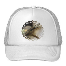Tree Frog Baseball Hat