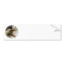 Tree Frog Bumper Stickers
