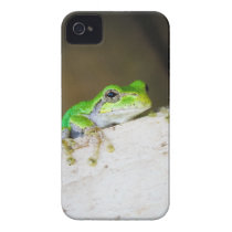 Tree Frog Iphone 4 Case-mate Cases