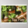 Tree Frog Collage, same frog different poses