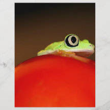 tree frog flyers
