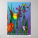 Tree Frog Garden posters