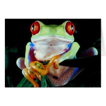 Tree Frog Greeting Card