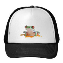 tree frog hat