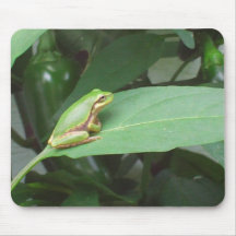 tree frog in the peppers mouse pads