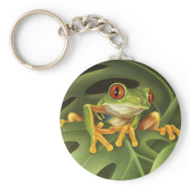 Tree Frog Key Chain