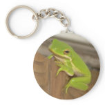 Tree Frog KeyChain