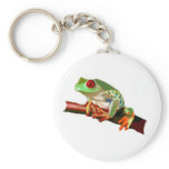 Tree Frog keychains