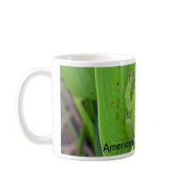 Tree Frog mug