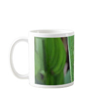 Tree Frog Mug