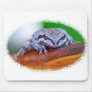 Tree Frog on Banana mousepad