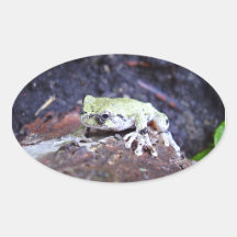 Tree Frog Oval Sticker