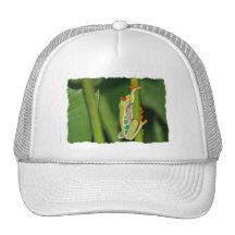 Tree Frog Photo Trucker Hats