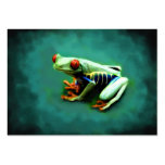 Tree Frog Portrait ACEO Art Trading Cards Business Card Template