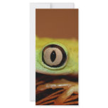 tree frog rack cards