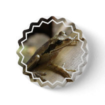 Tree Frog Round Button