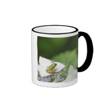 Tree Frog Sitting on a Hydrangea, Hyogo Coffee Mug