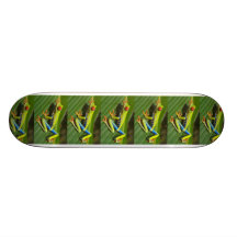 Tree Frog Skate Board