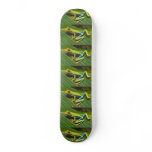 Tree Frog Skate Board skateboards