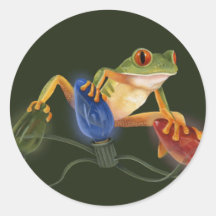 Tree Frog Sticker