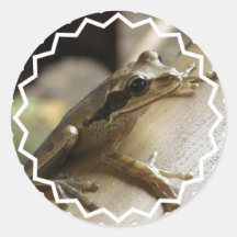 Tree Frog Stickers