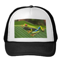 Tree Frog Trucker Hat