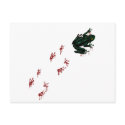 Tree Frog with Bloody Tracks postcards