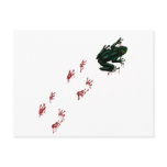 Tree Frog with Bloody Tracks postcards