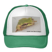 Tree Frogs Mesh Hats