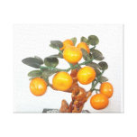 Tree full of fruit - Great feng shui - picture Canvas Print