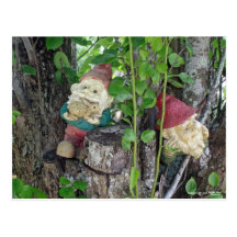 TREE GNOMES POST CARDS
