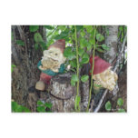 TREE GNOMES postcards