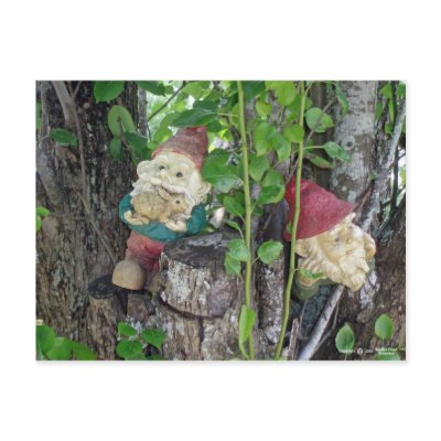 TREE GNOMES POST CARDS by sqarehead