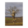 Tree House Post Card