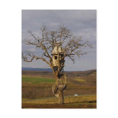 Tree House Post Card by pageandturner
