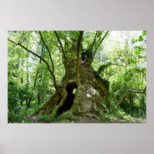 Tree House Print