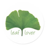 Tree Hugger, Leaf Lover - Ginkgo stickers