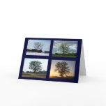 Tree in 4 Seasons Greeting Card